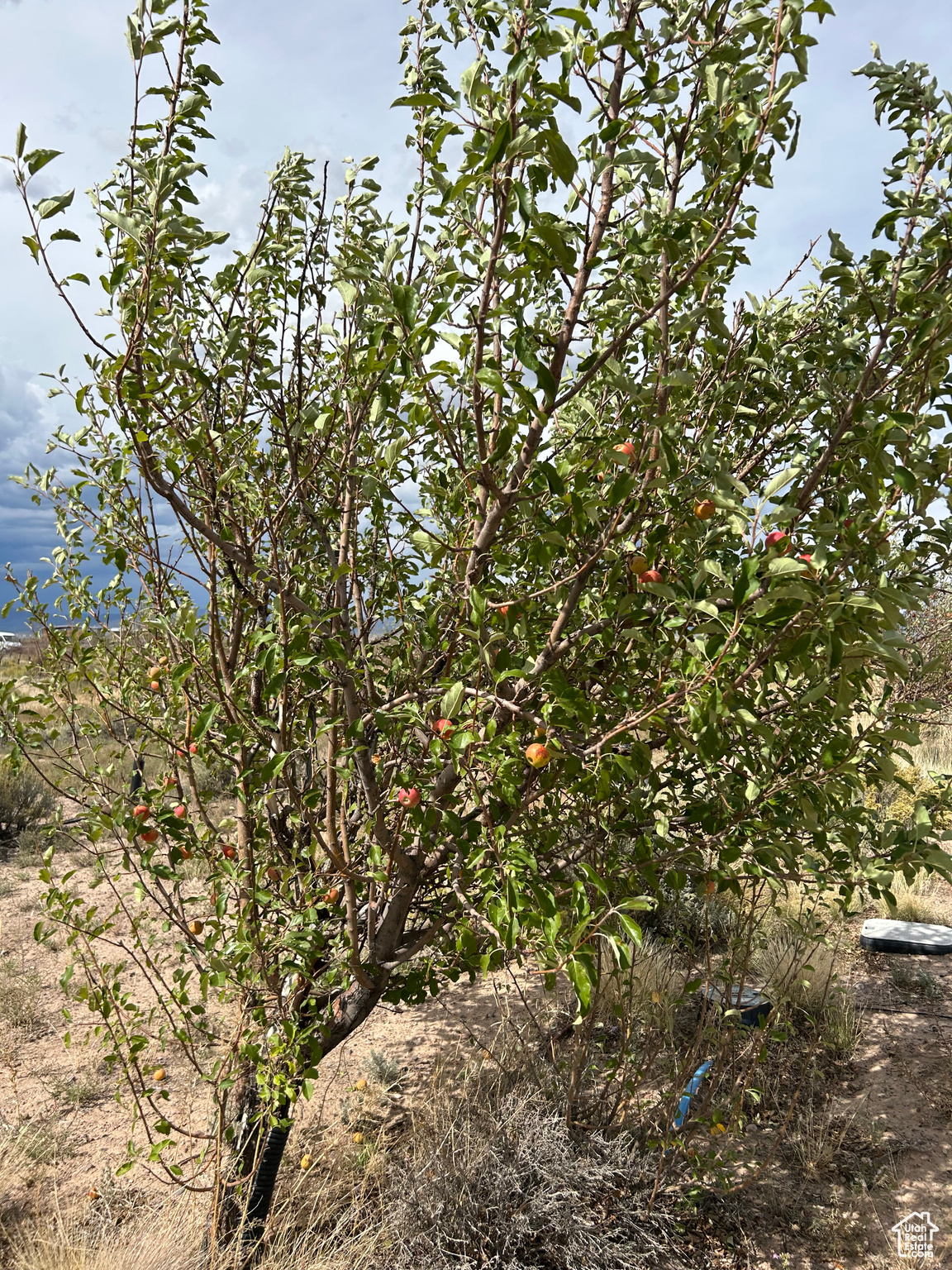 main property photo 8
