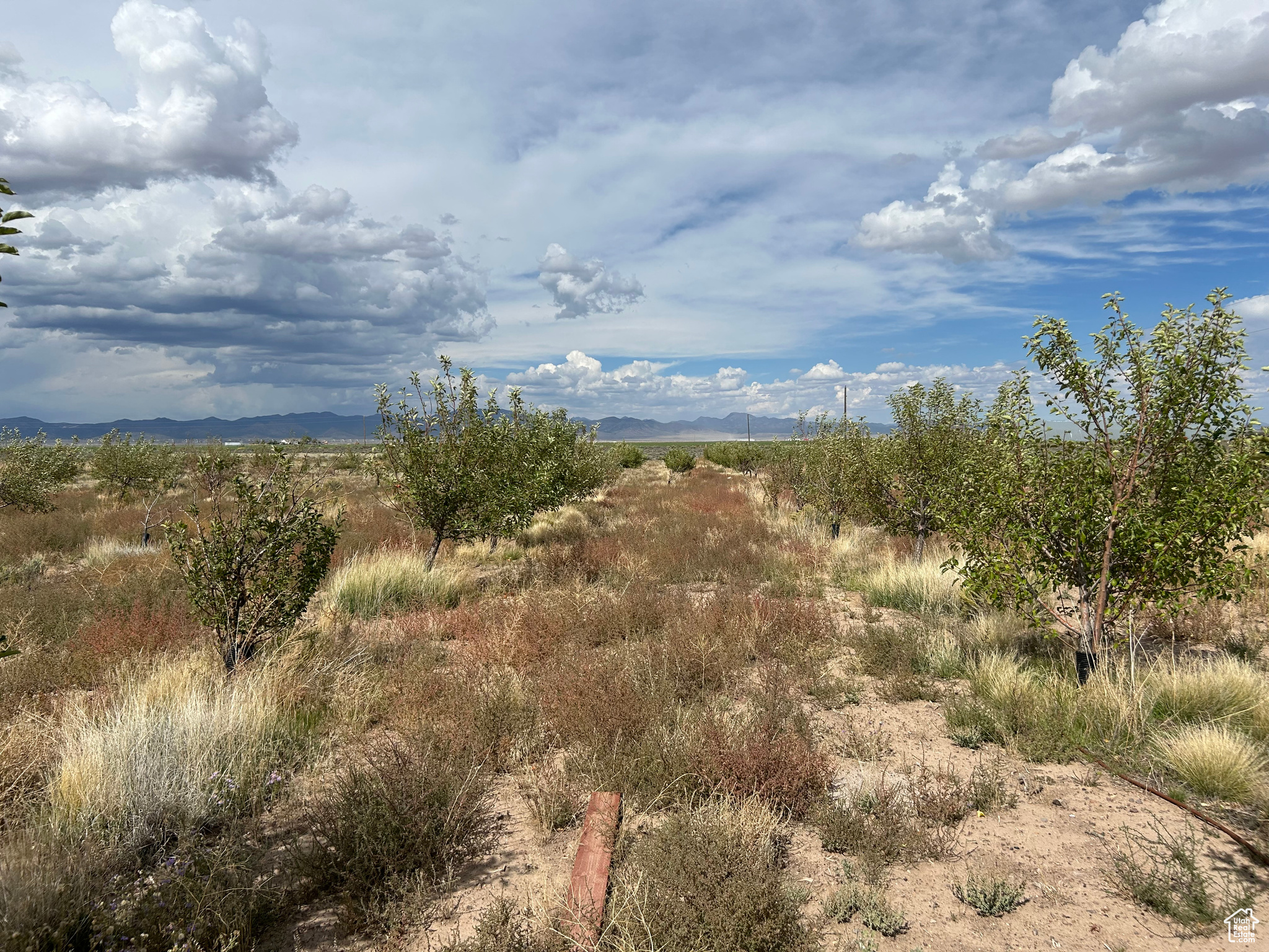 main property photo 9