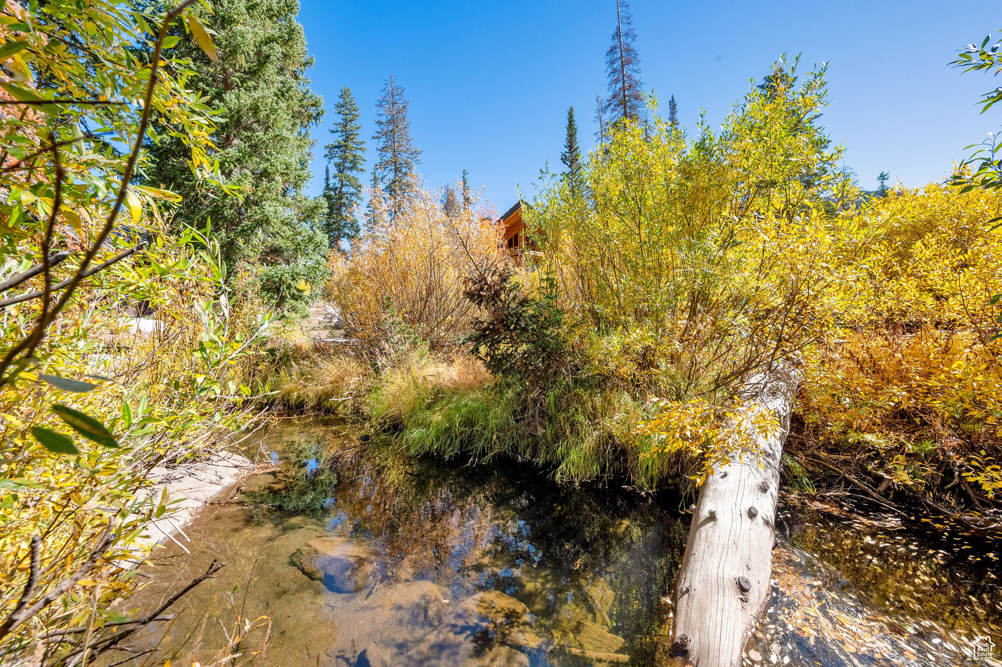 main property photo 63