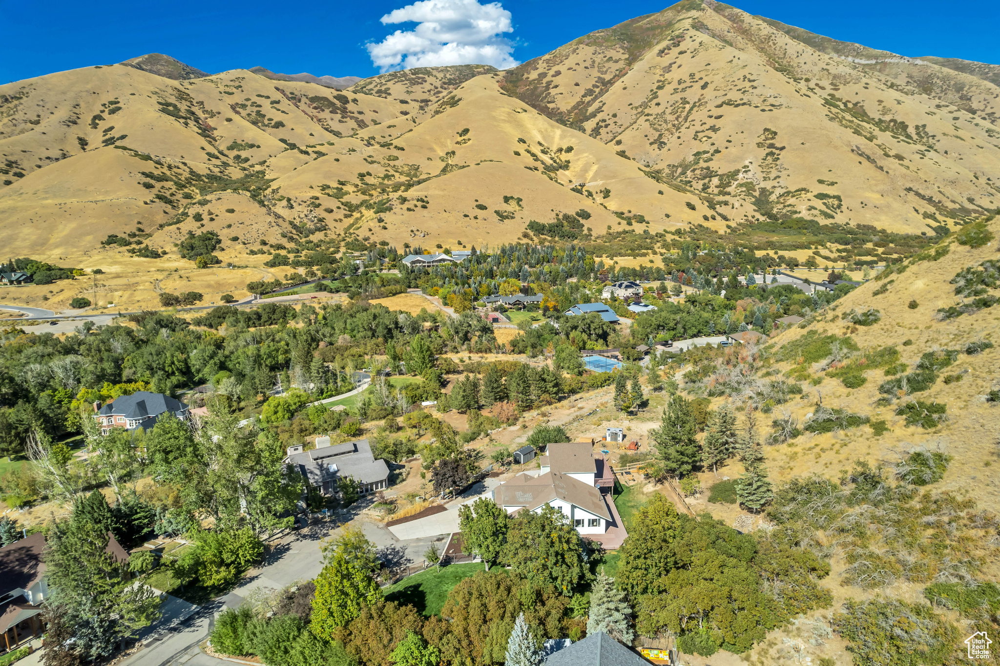 main property photo 51