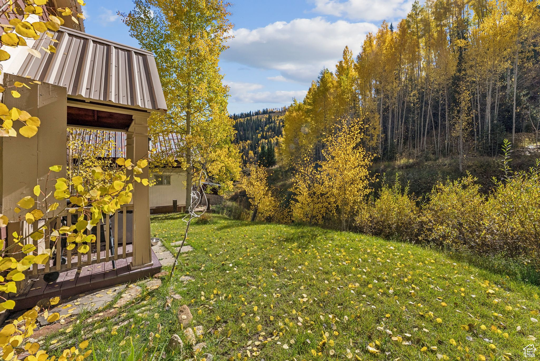 main property photo 43