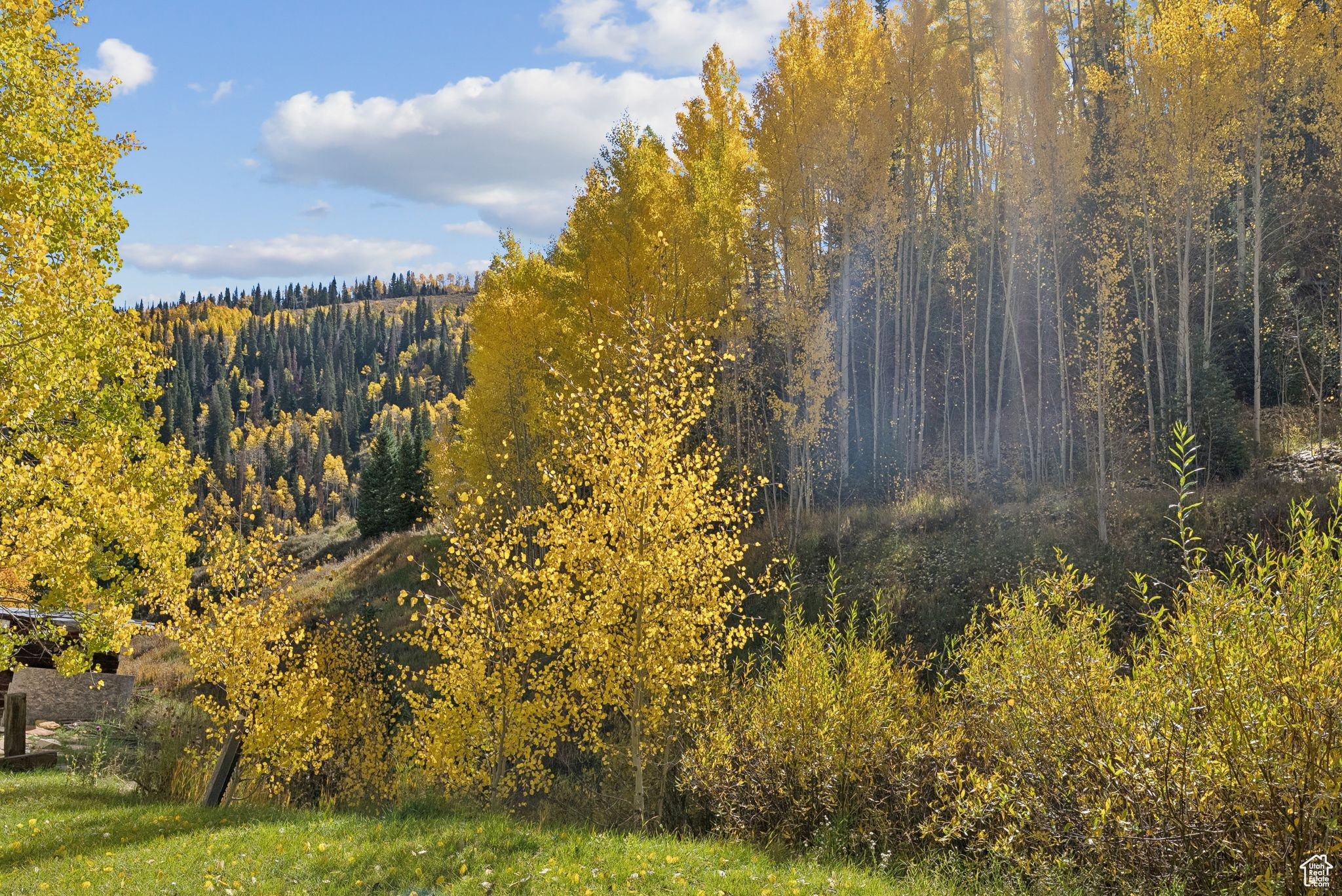 main property photo 54