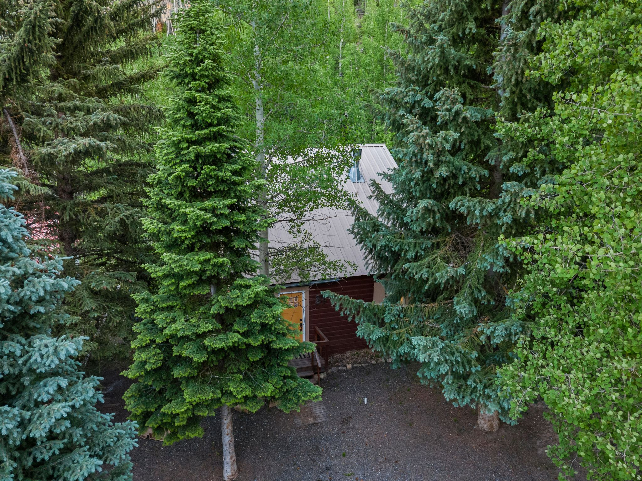 main property photo 56