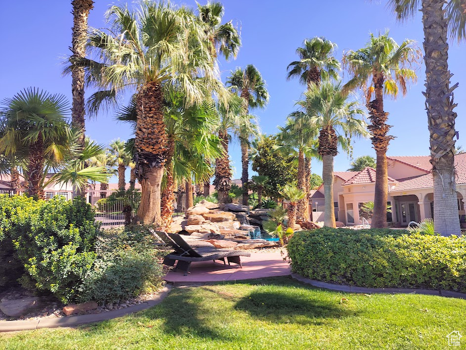 main property photo 56