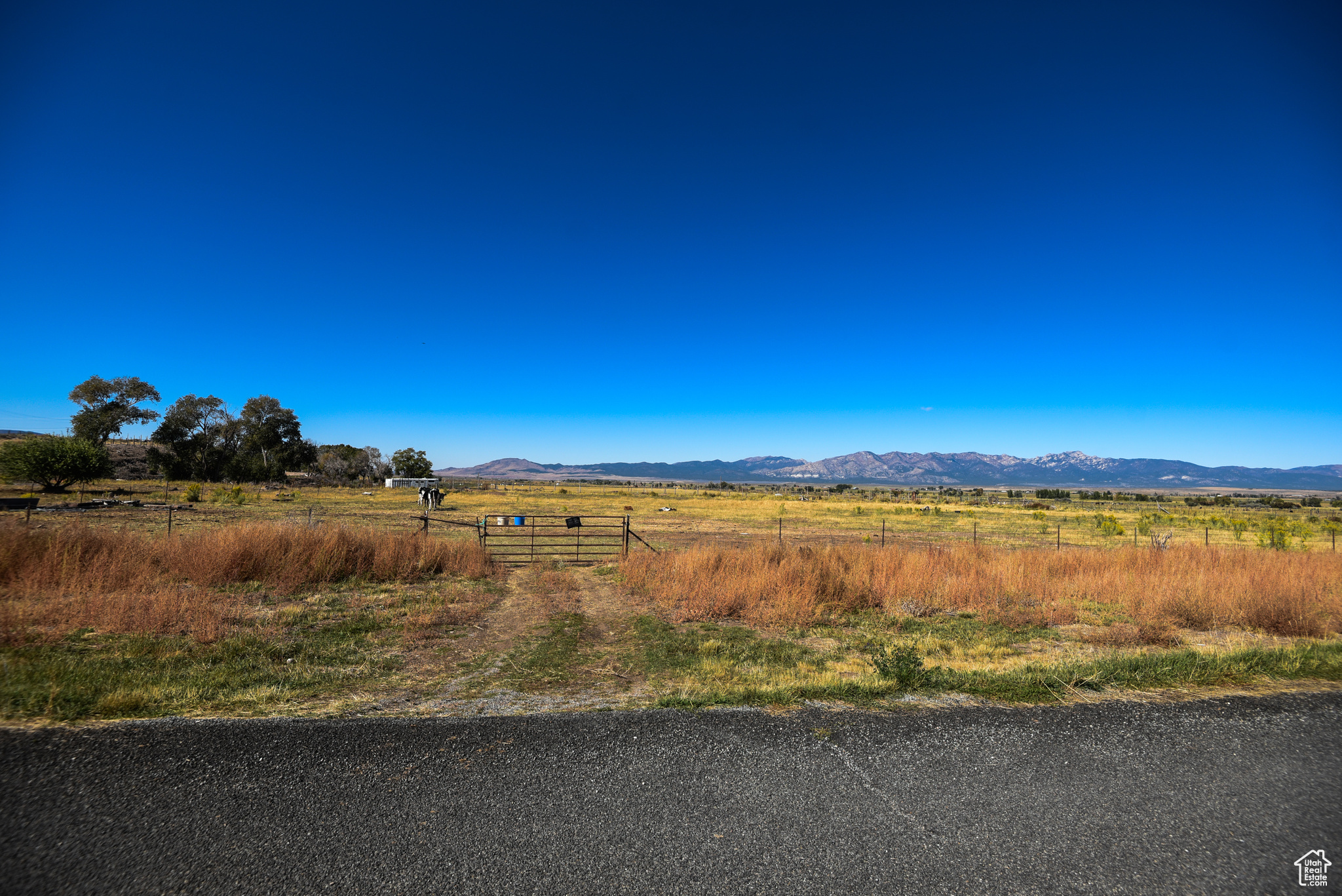 main property photo 11