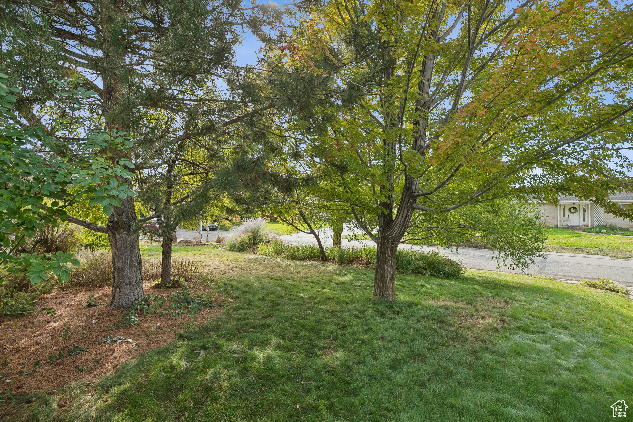 main property photo 37