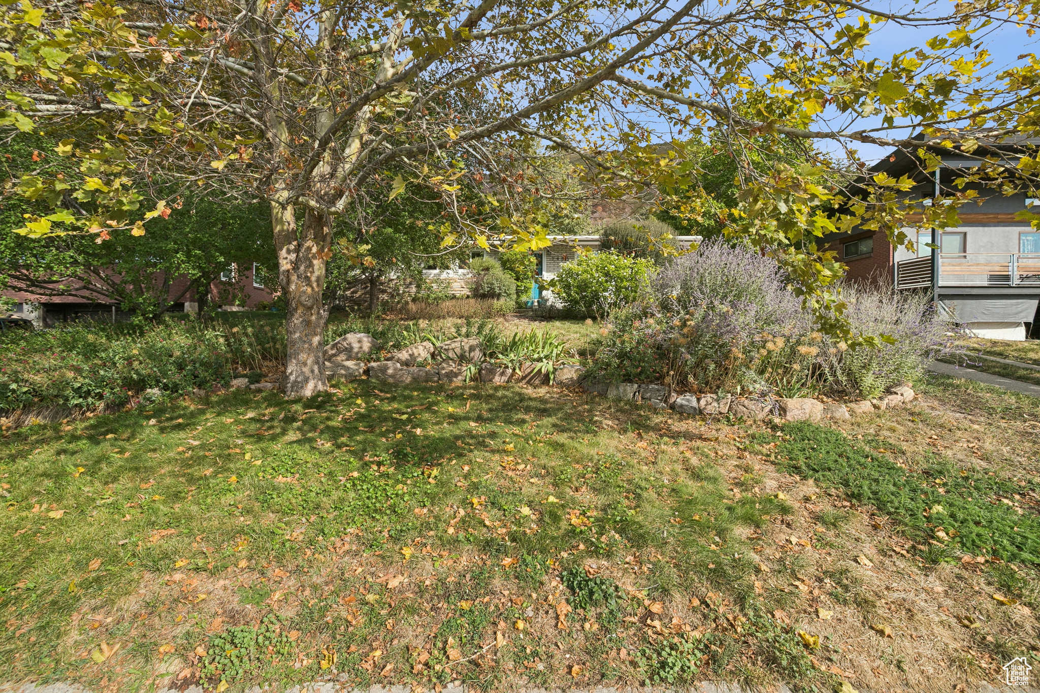 main property photo 40