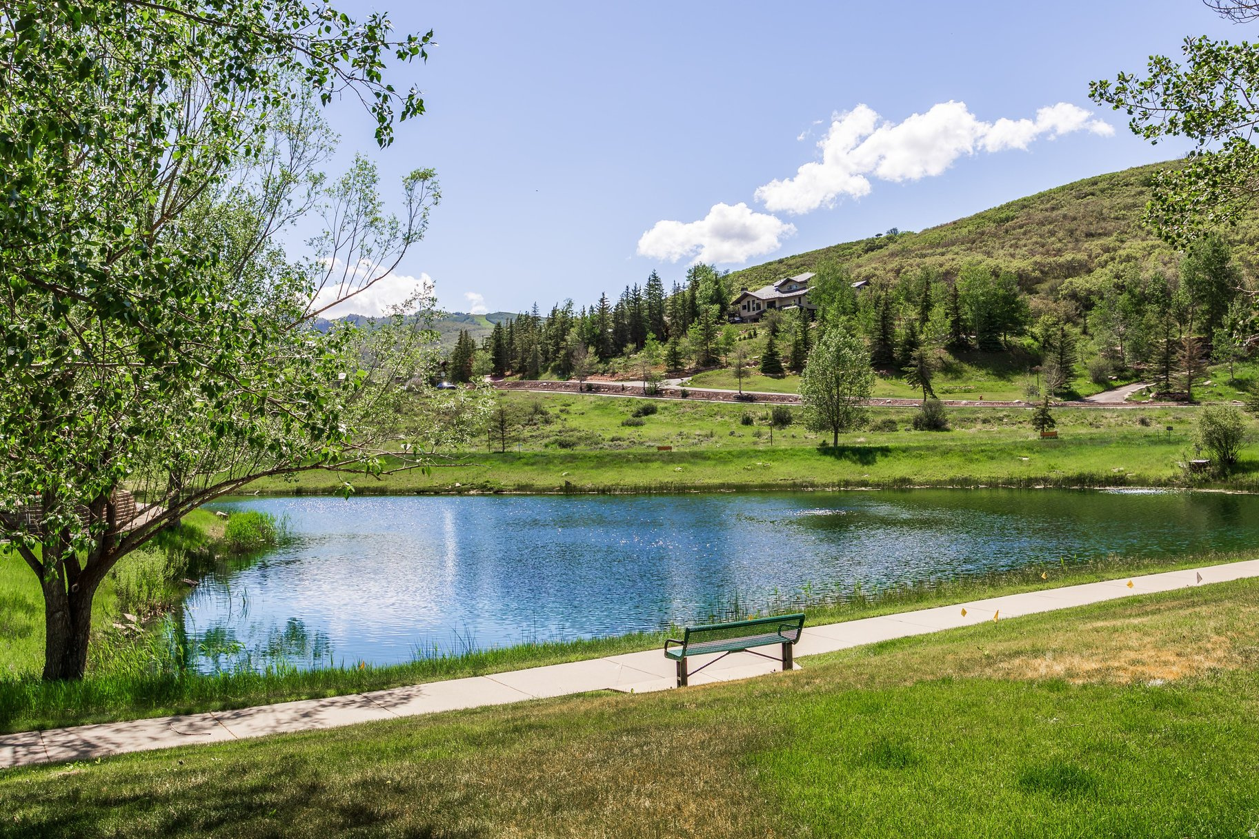 main property photo 36