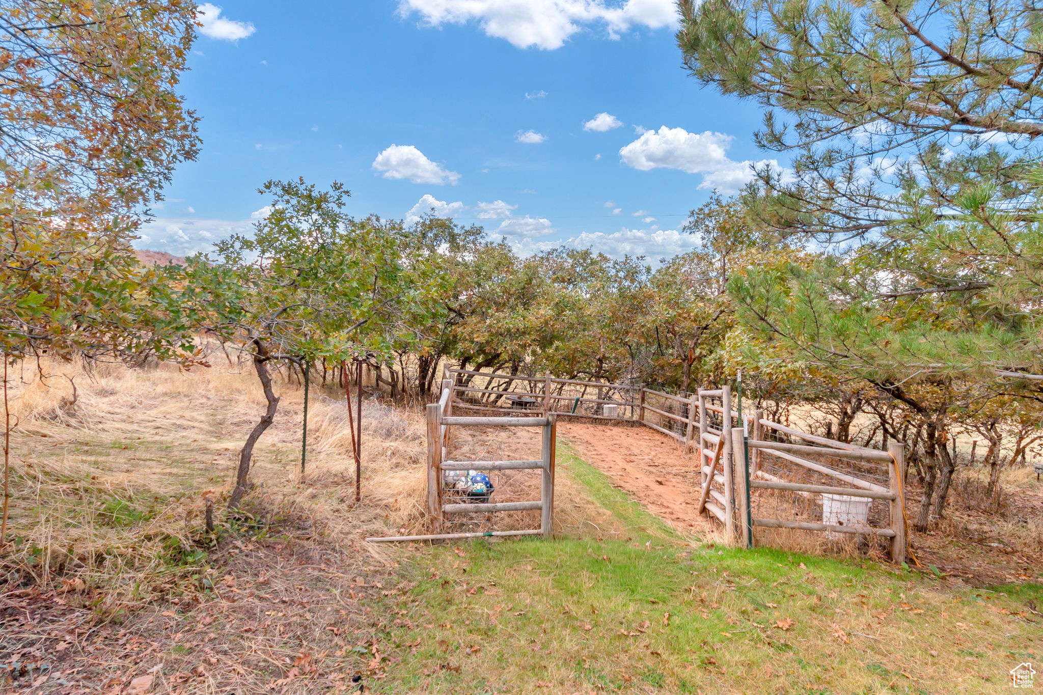 main property photo 43