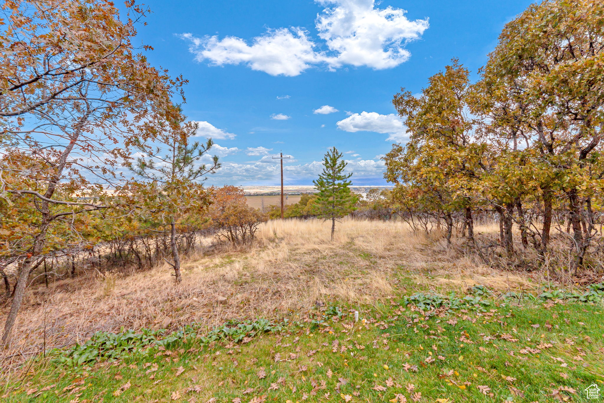 main property photo 45