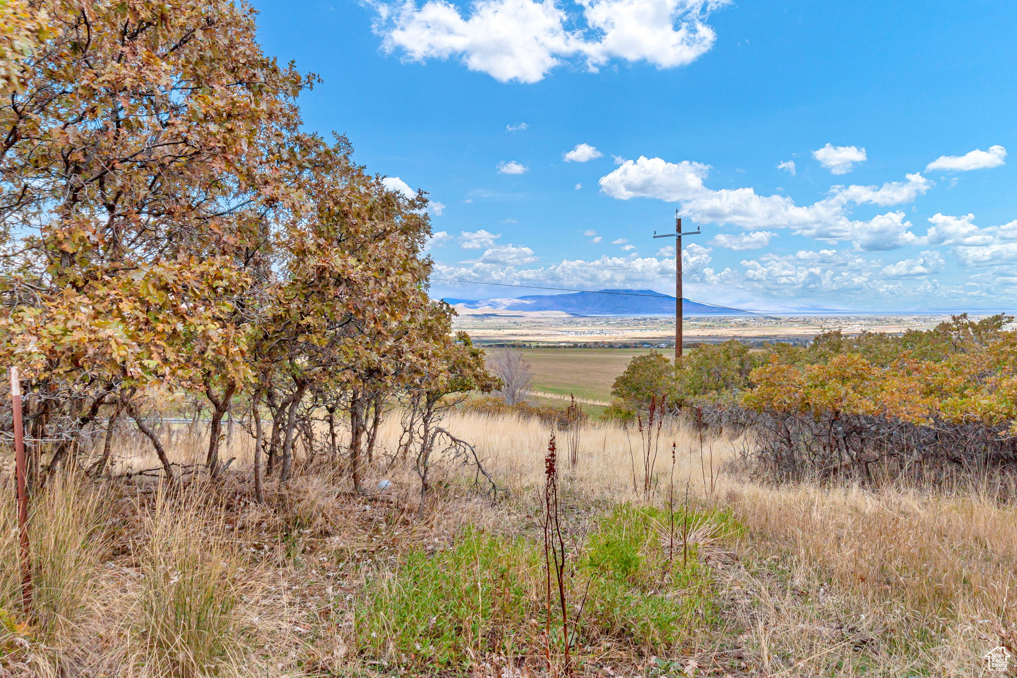 main property photo 47