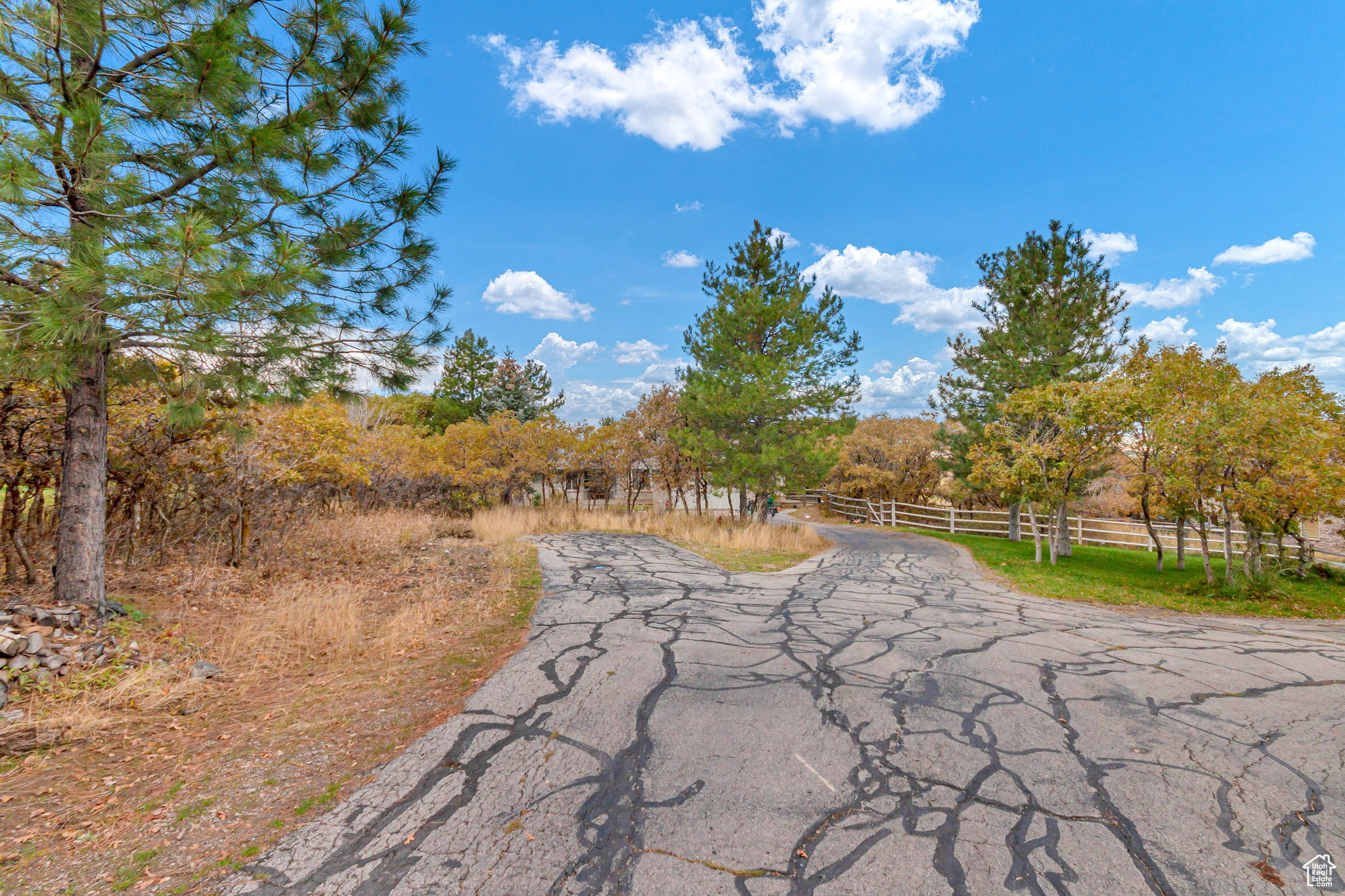 main property photo 49