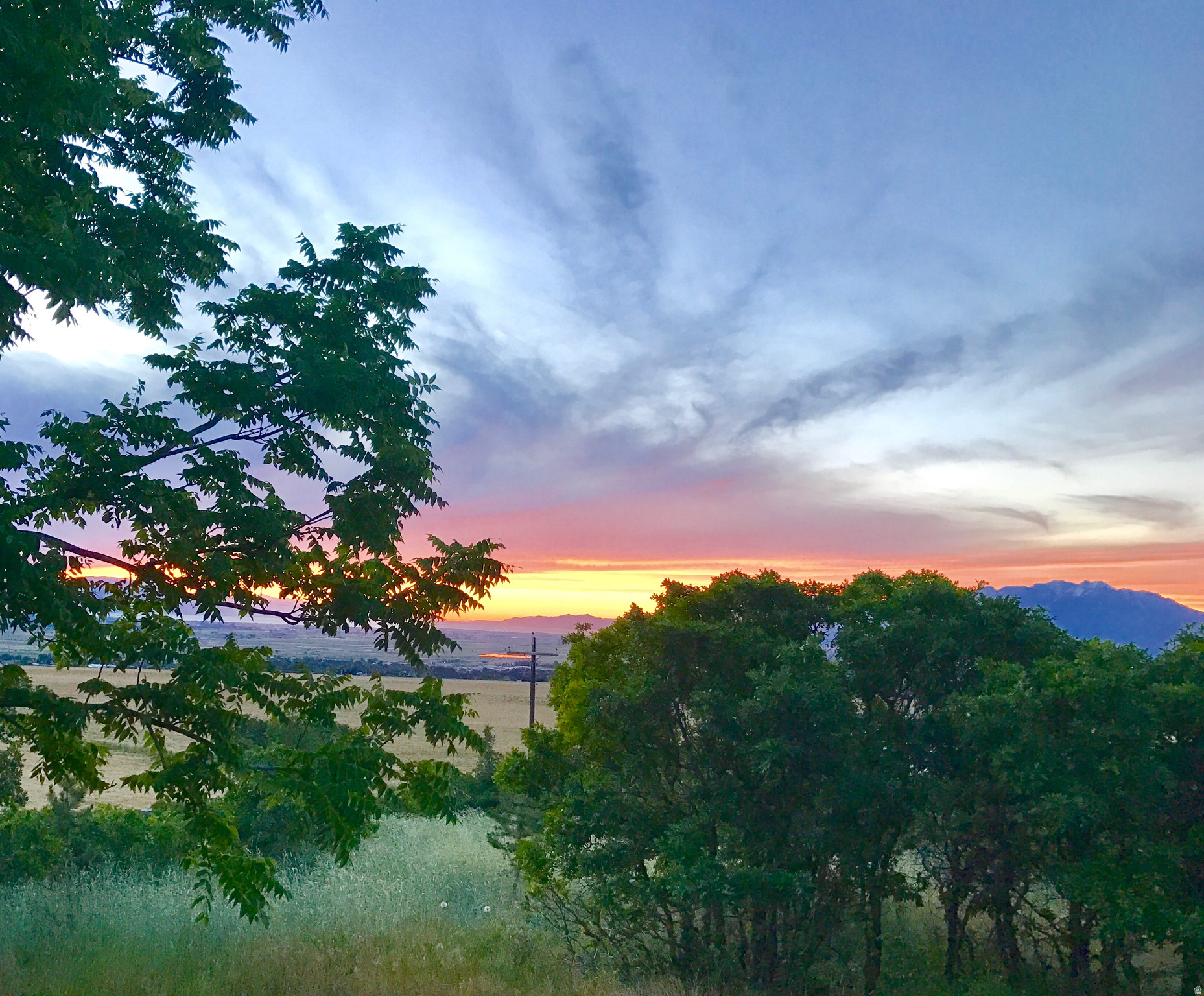 main property photo 64