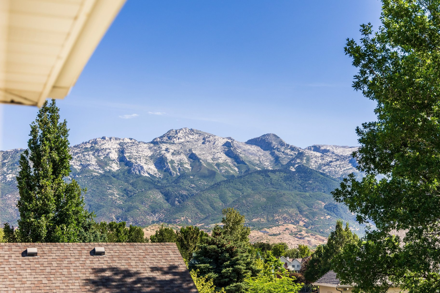 main property photo 99