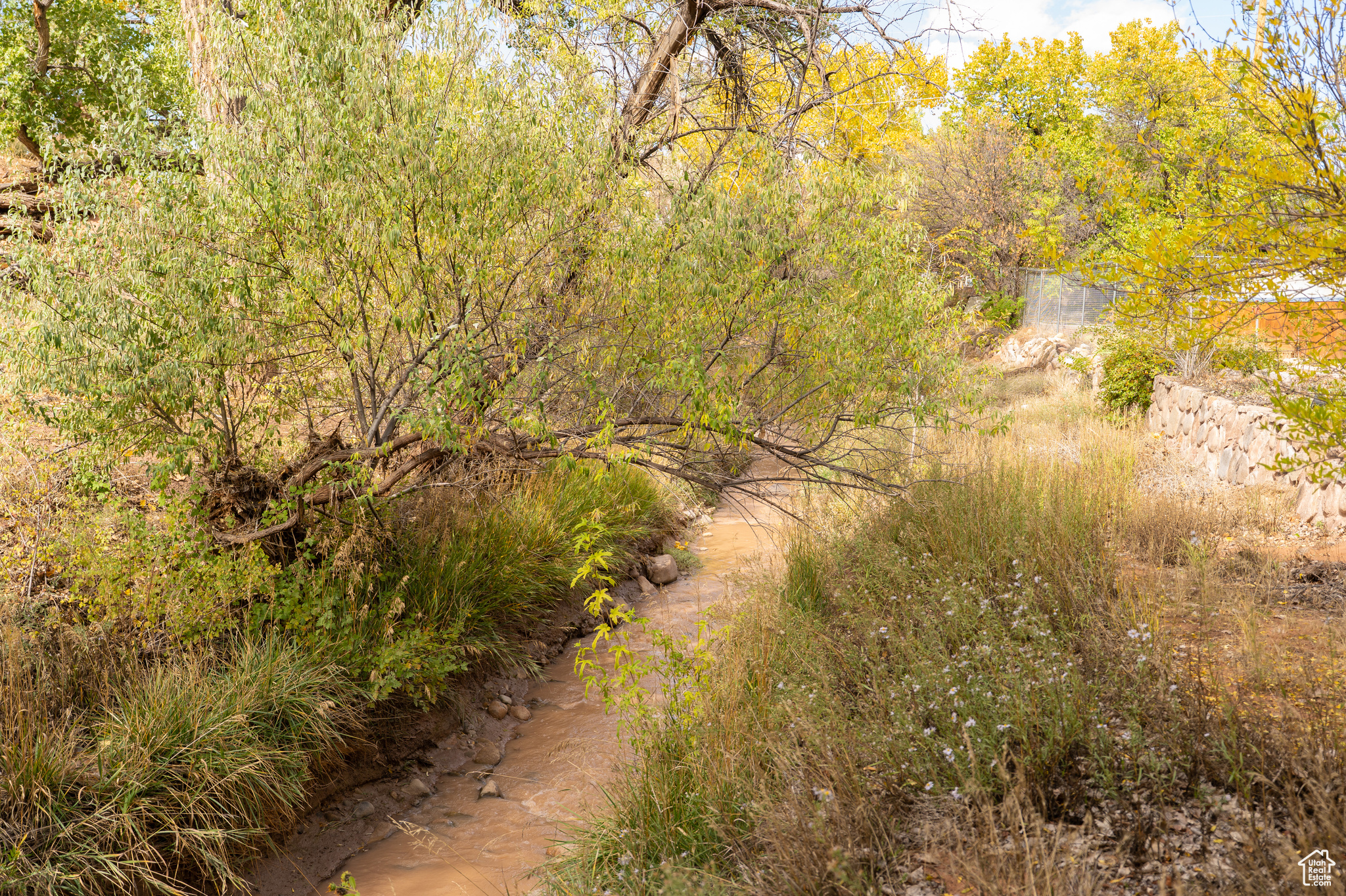 main property photo 43