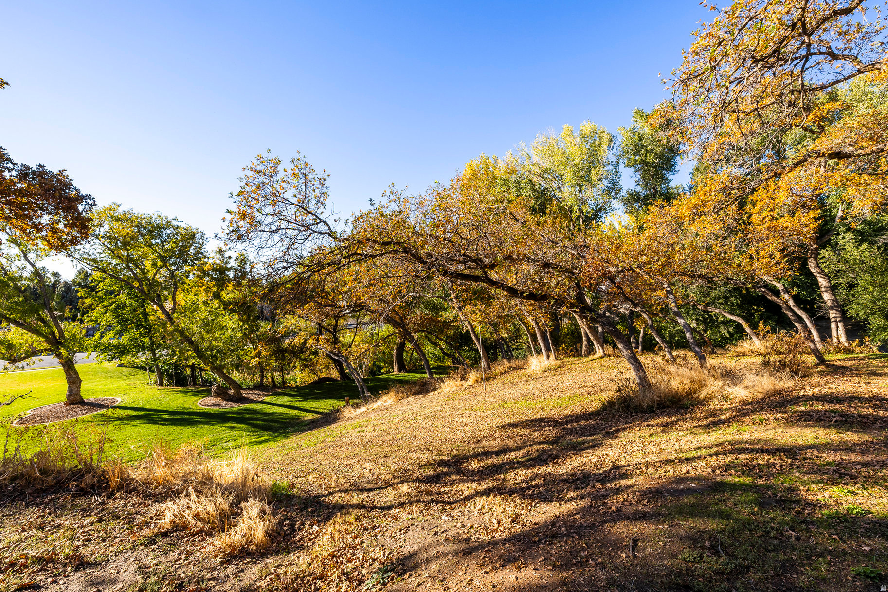 main property photo 84