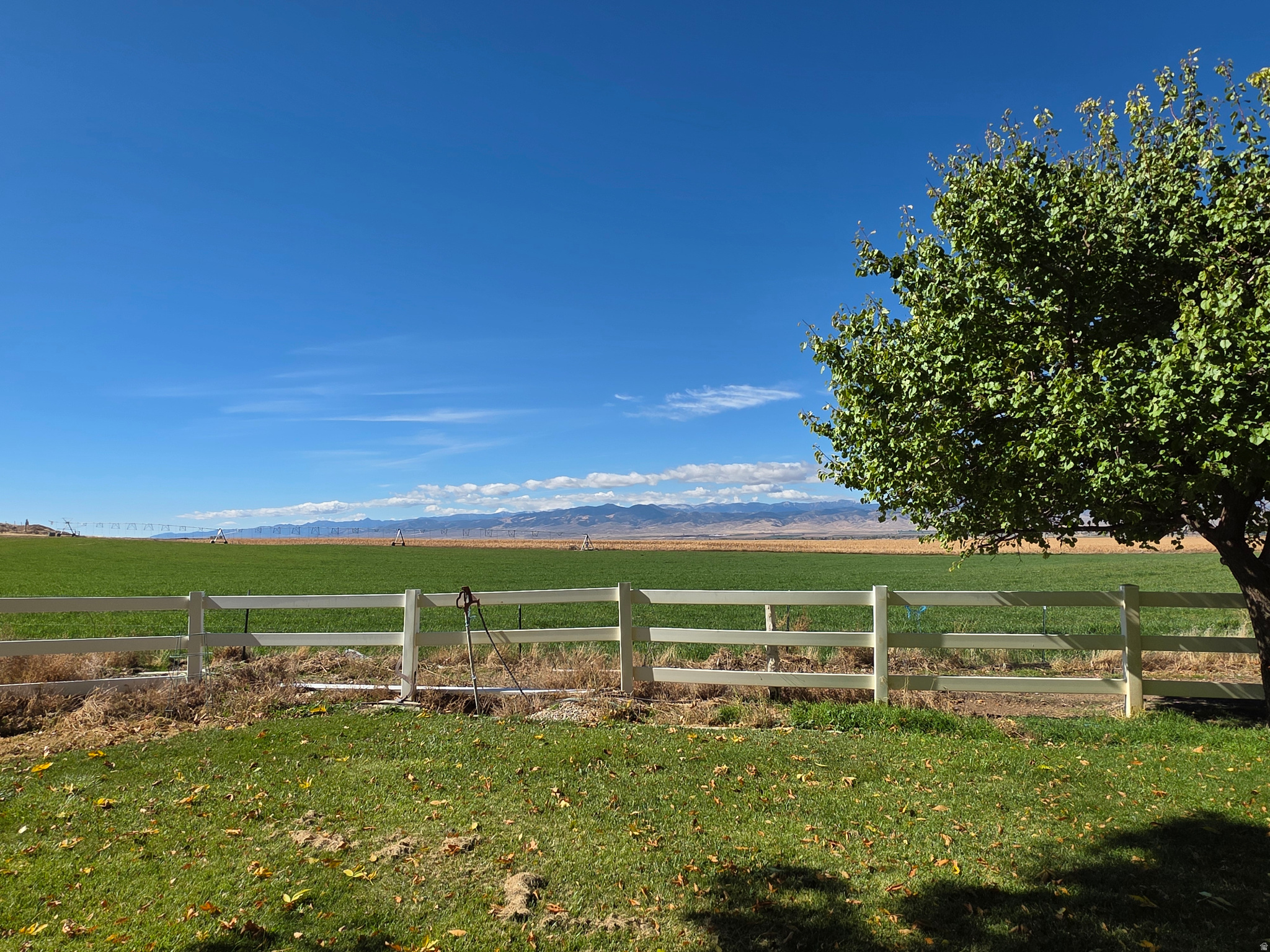 main property photo 59