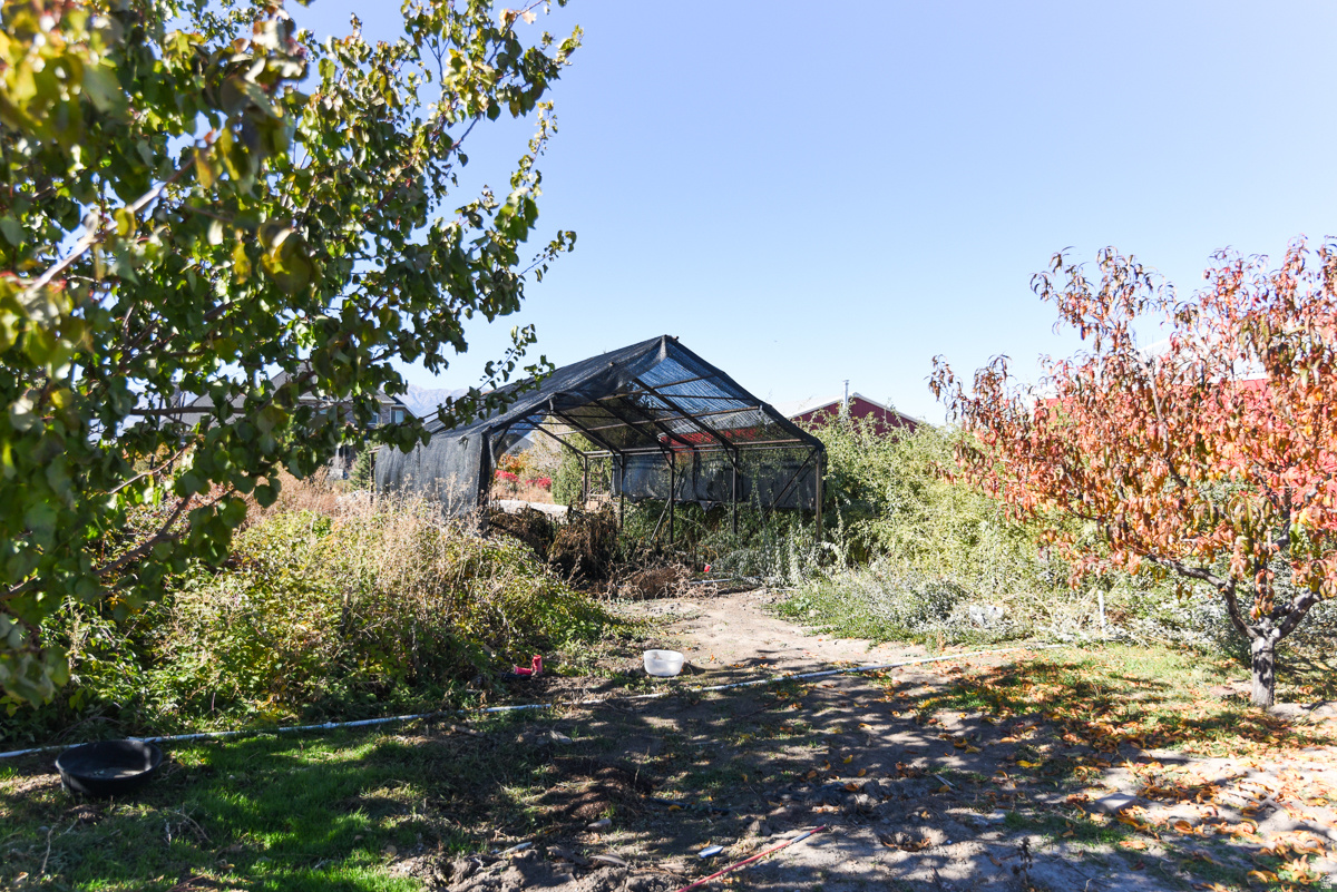 main property photo 58