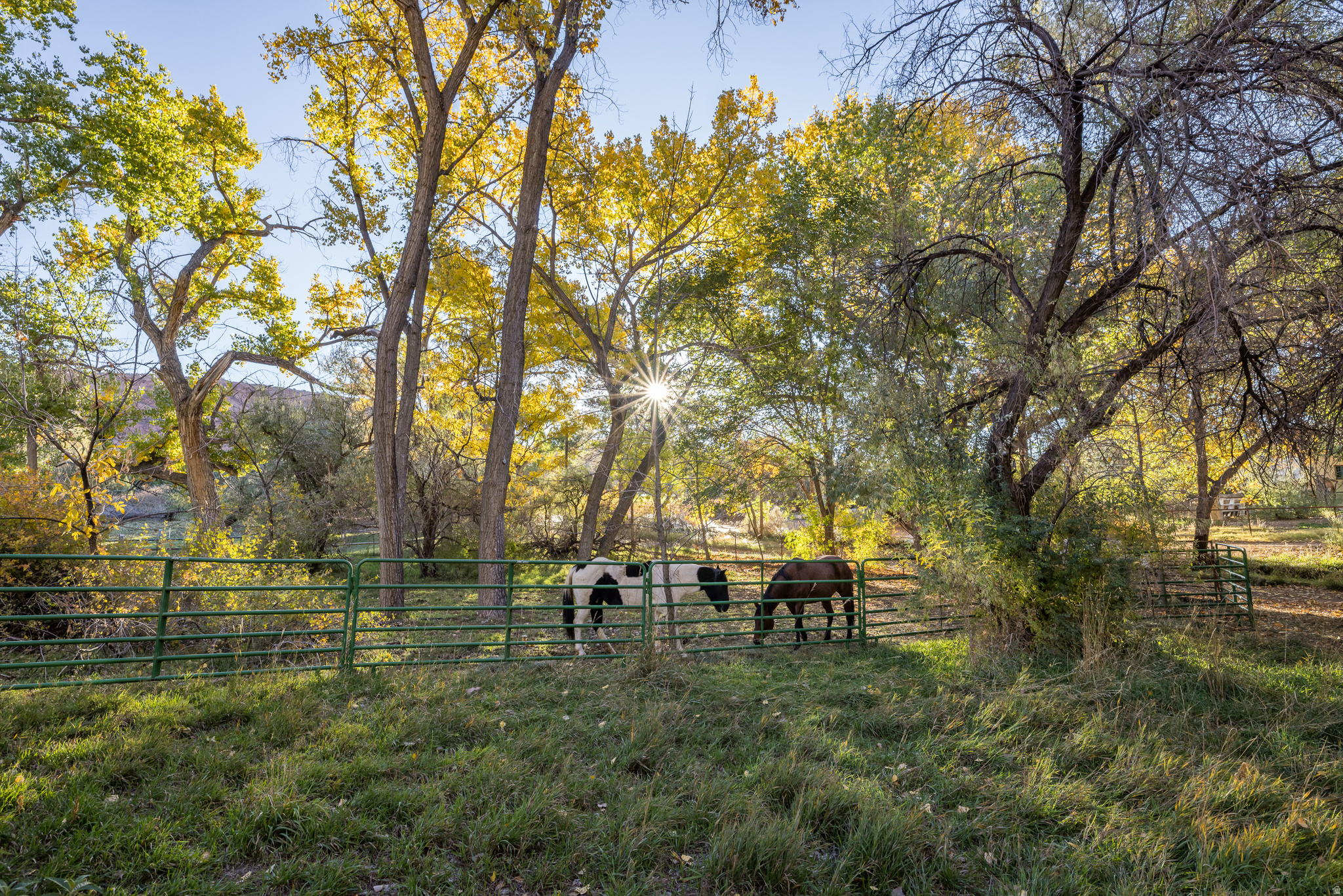 main property photo 15