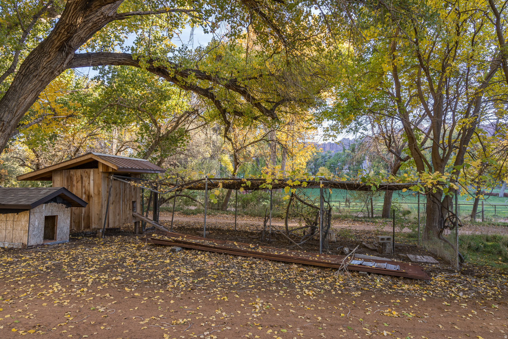 main property photo 53
