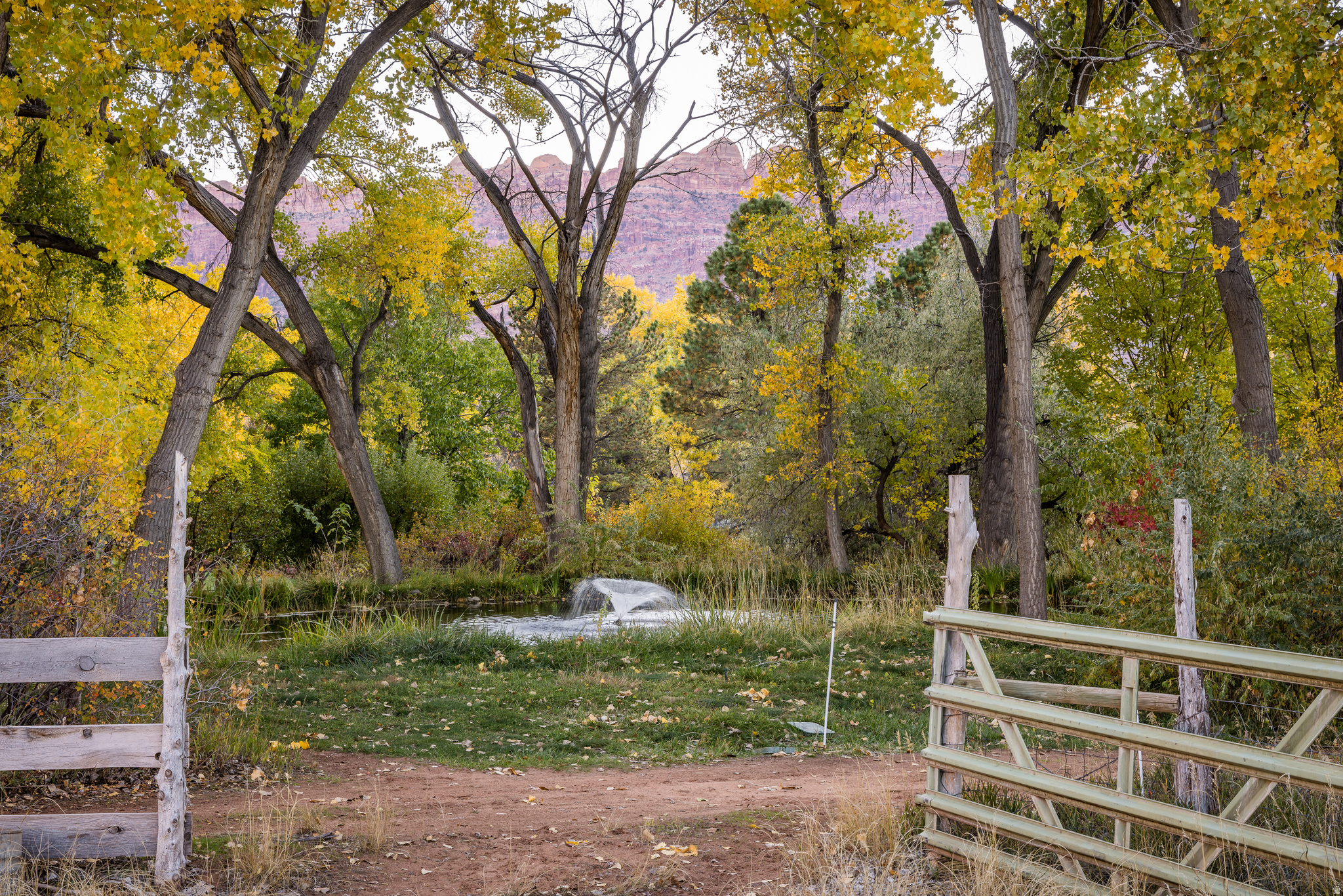 main property photo 58