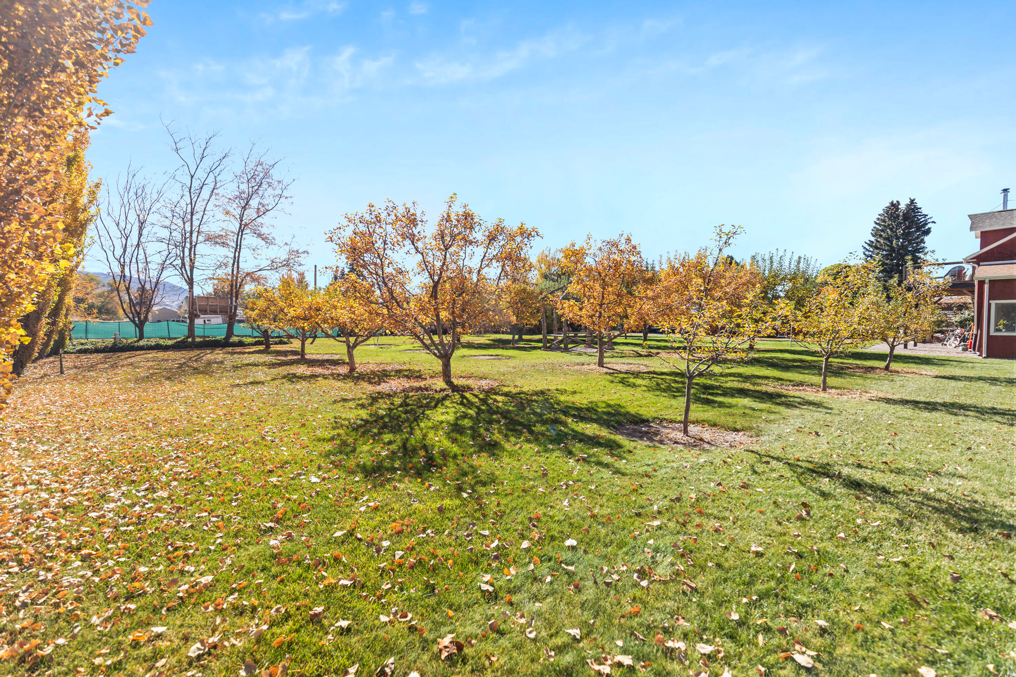 main property photo 31