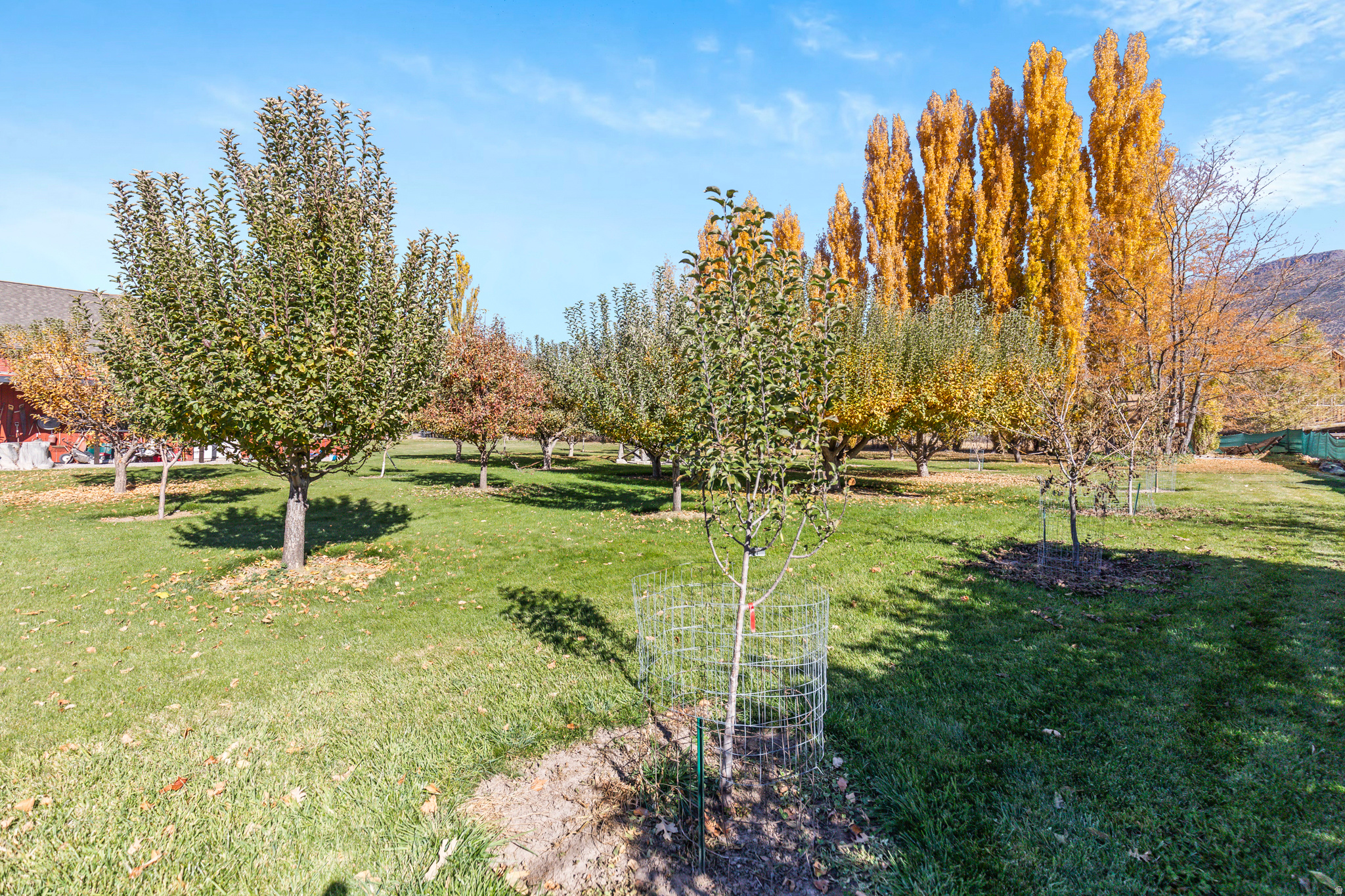 main property photo 35