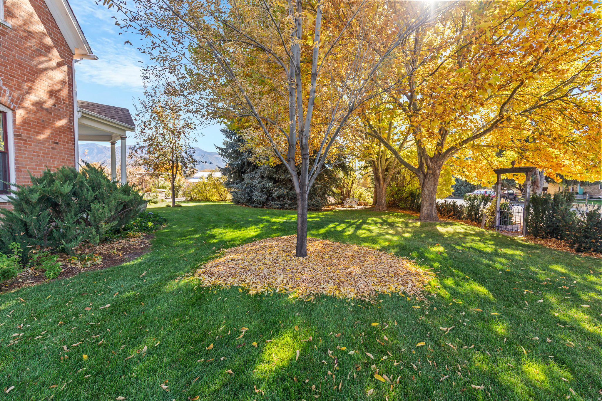 main property photo 64