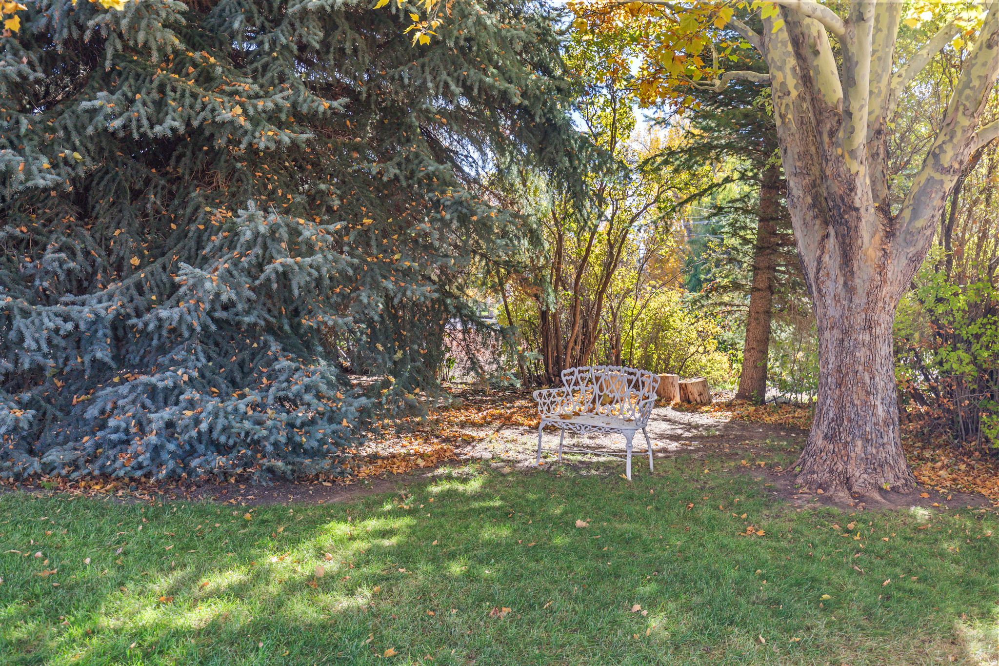 main property photo 66