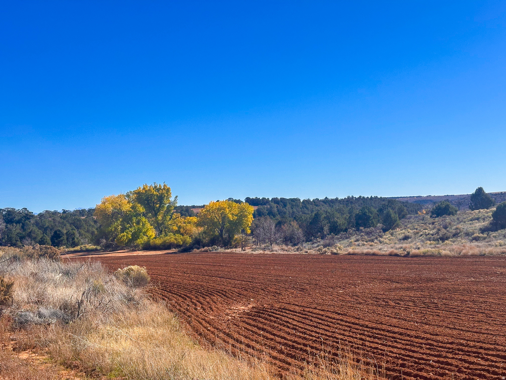 main property photo 8