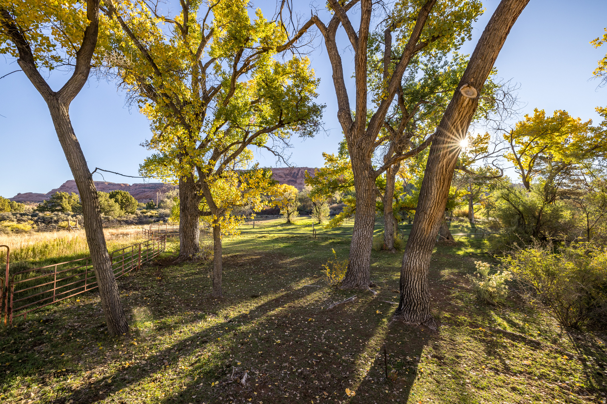 main property photo 25