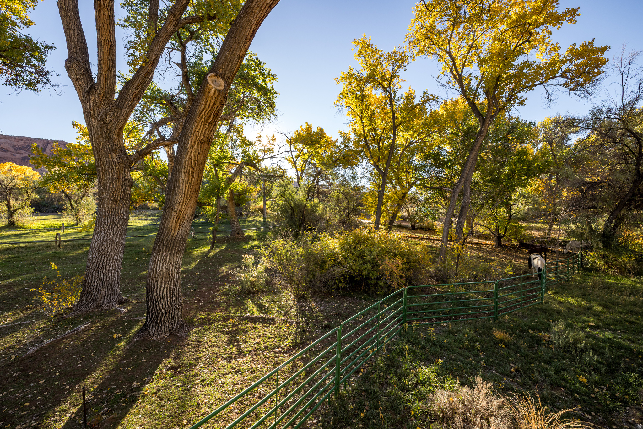 main property photo 26