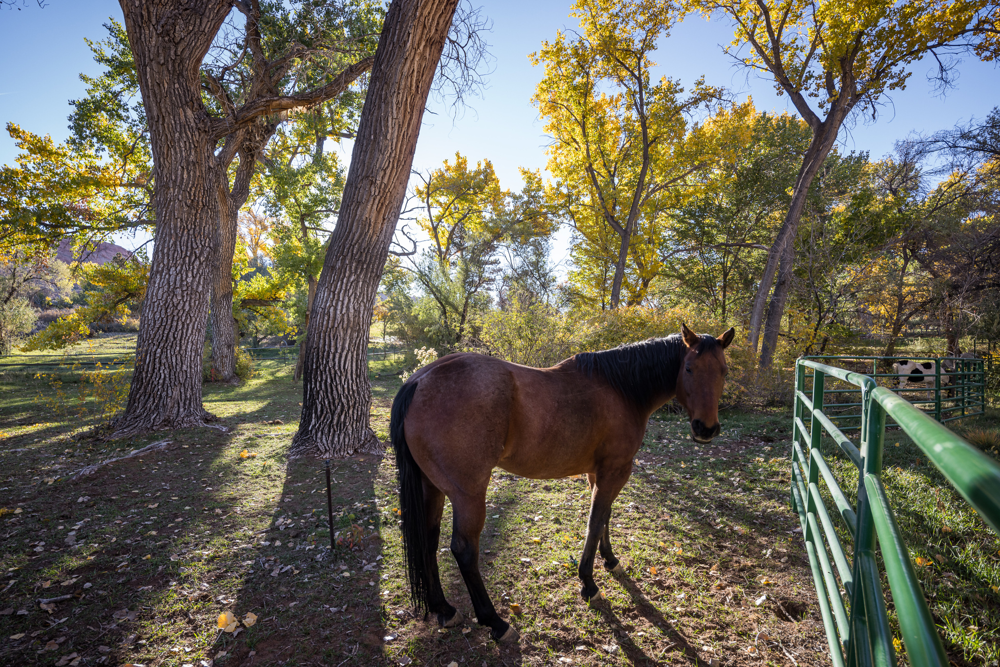 main property photo 27