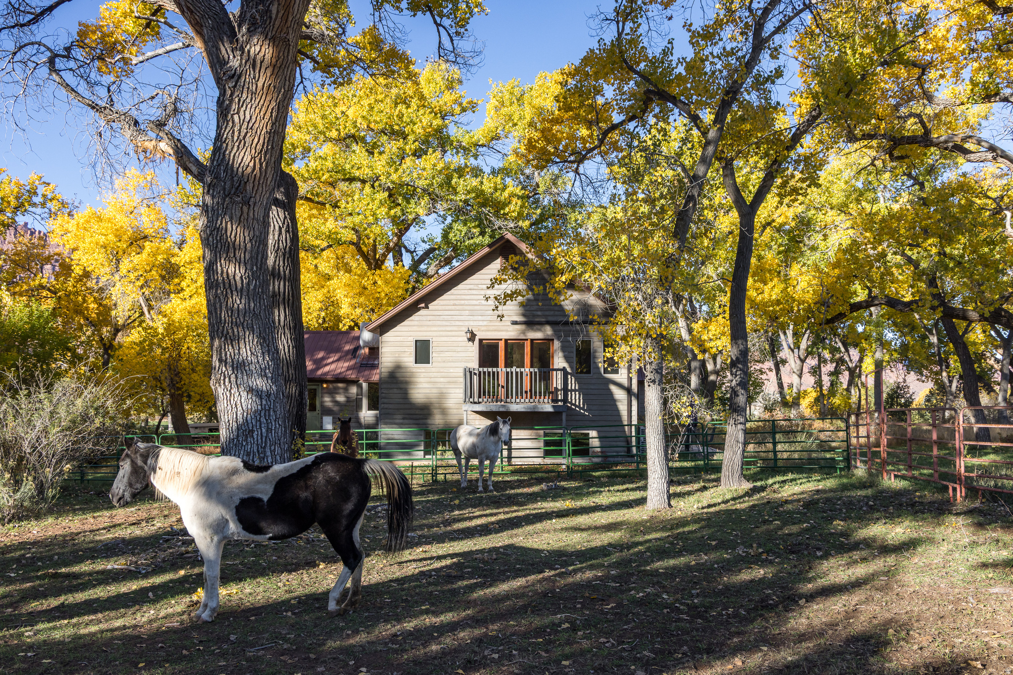 main property photo 29