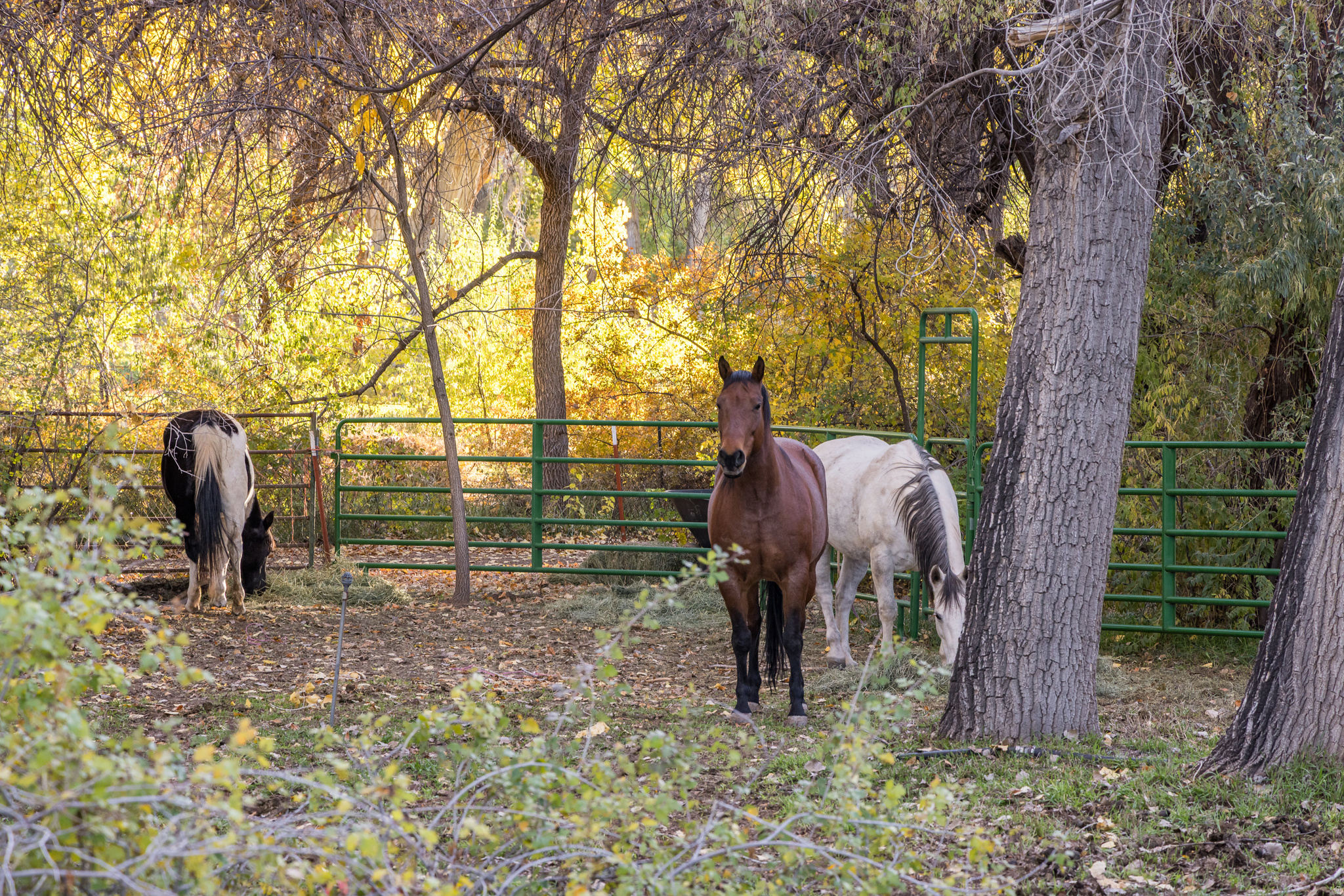 main property photo 30