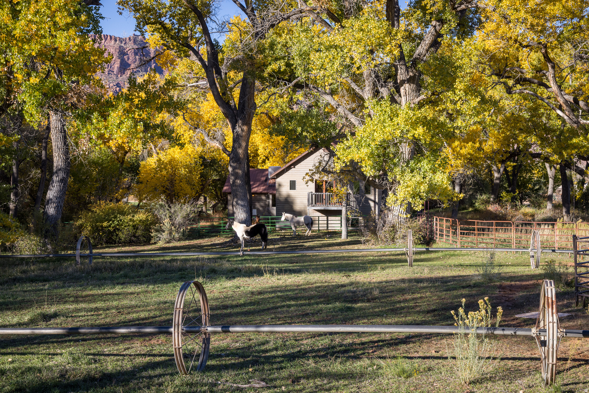main property photo 31