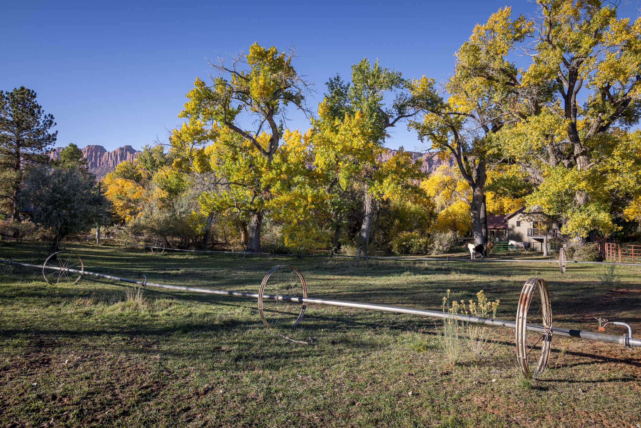 main property photo 32