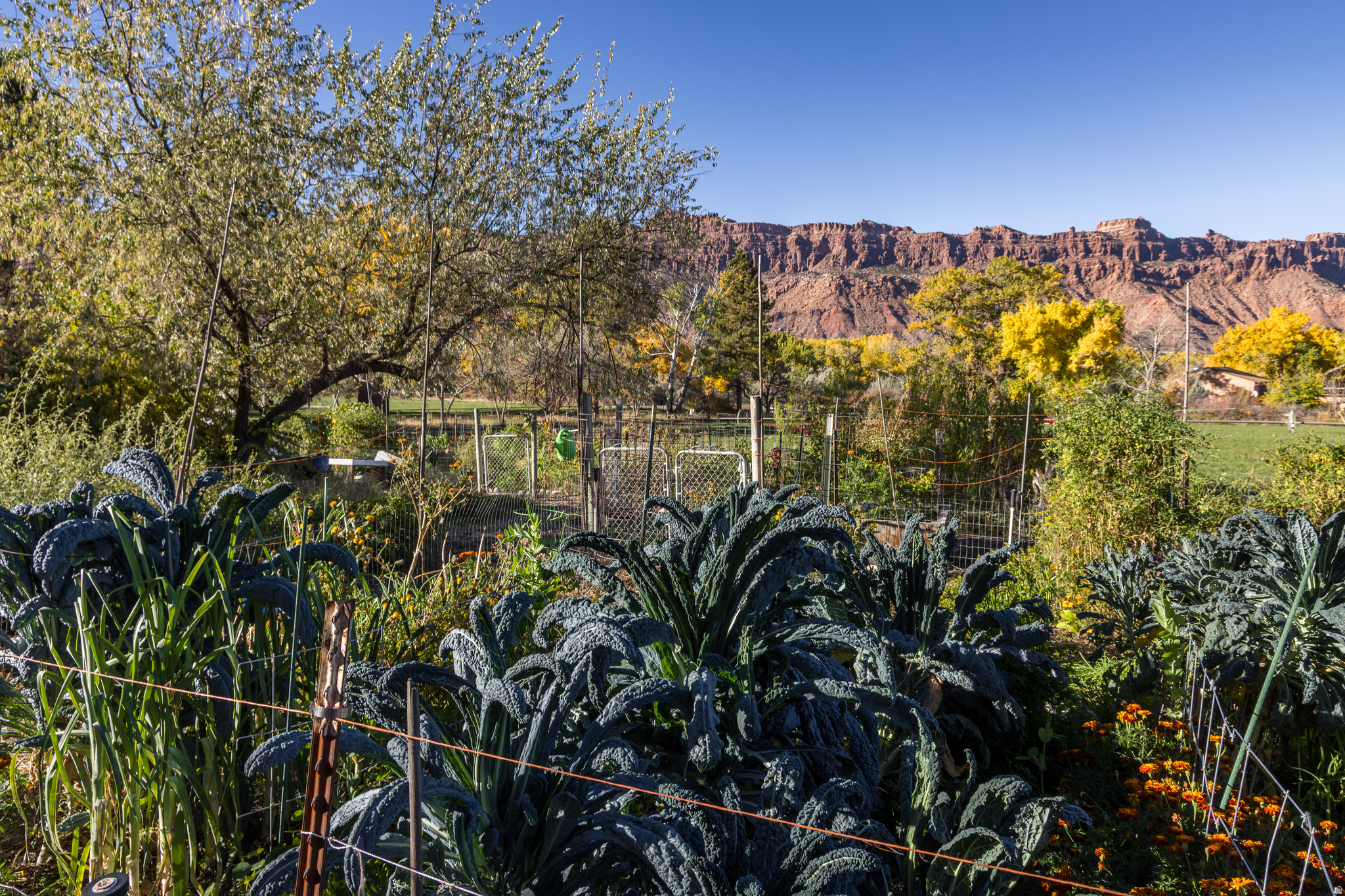 main property photo 40