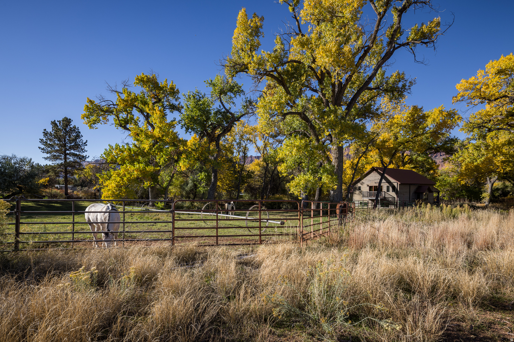 main property photo 42