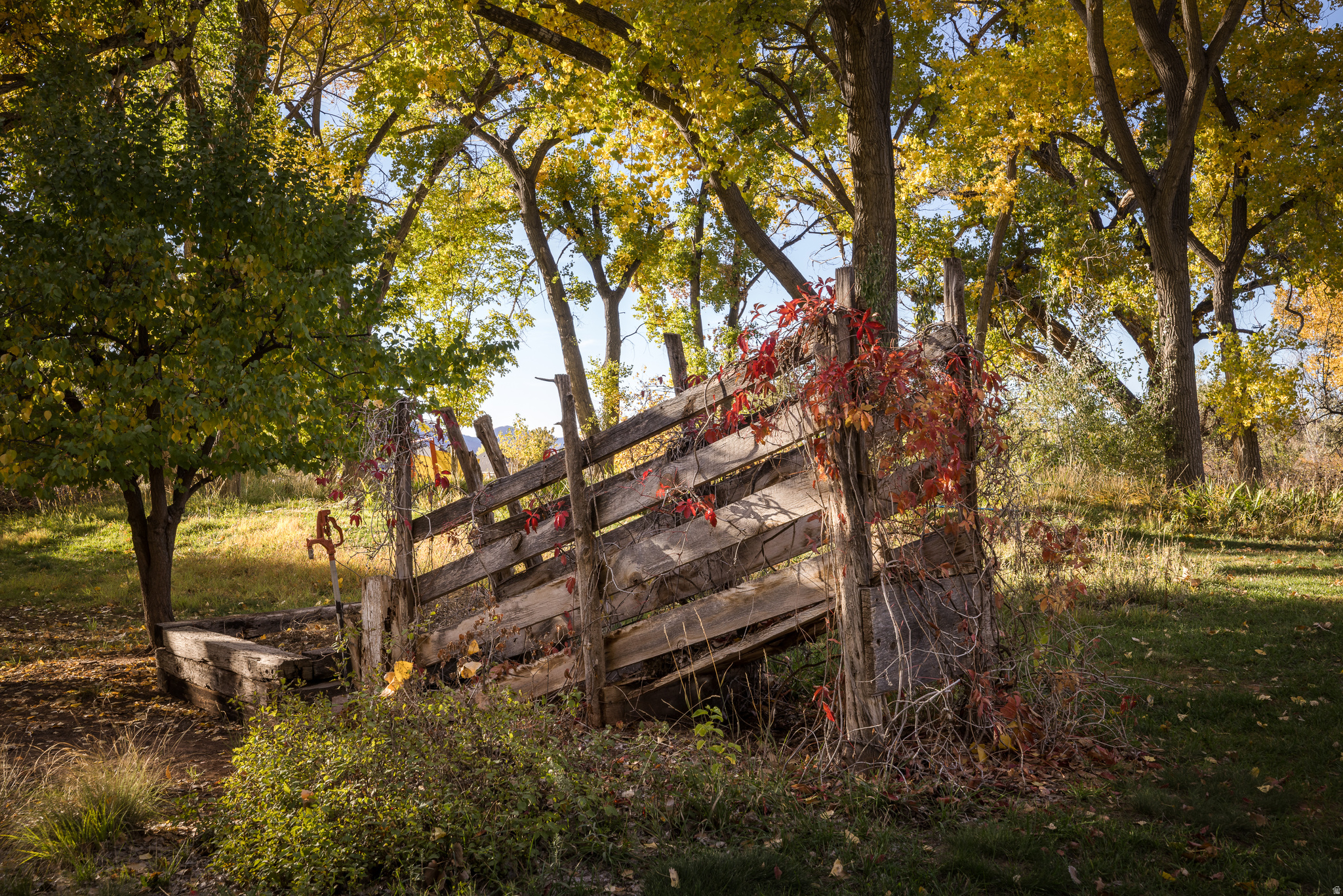 main property photo 43