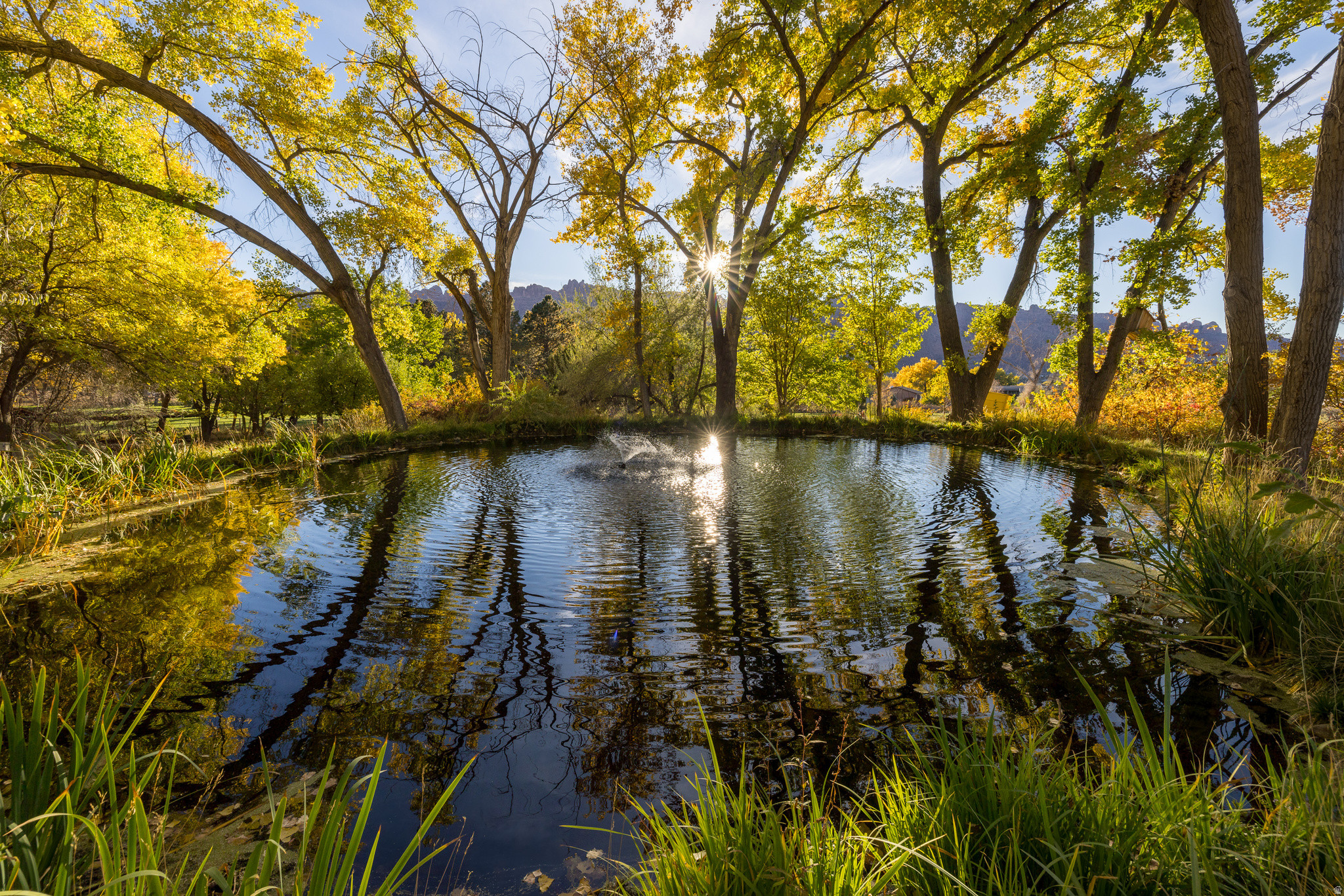 main property photo 47