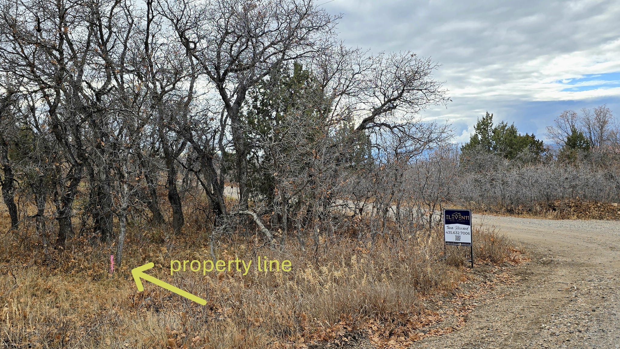 main property photo 6