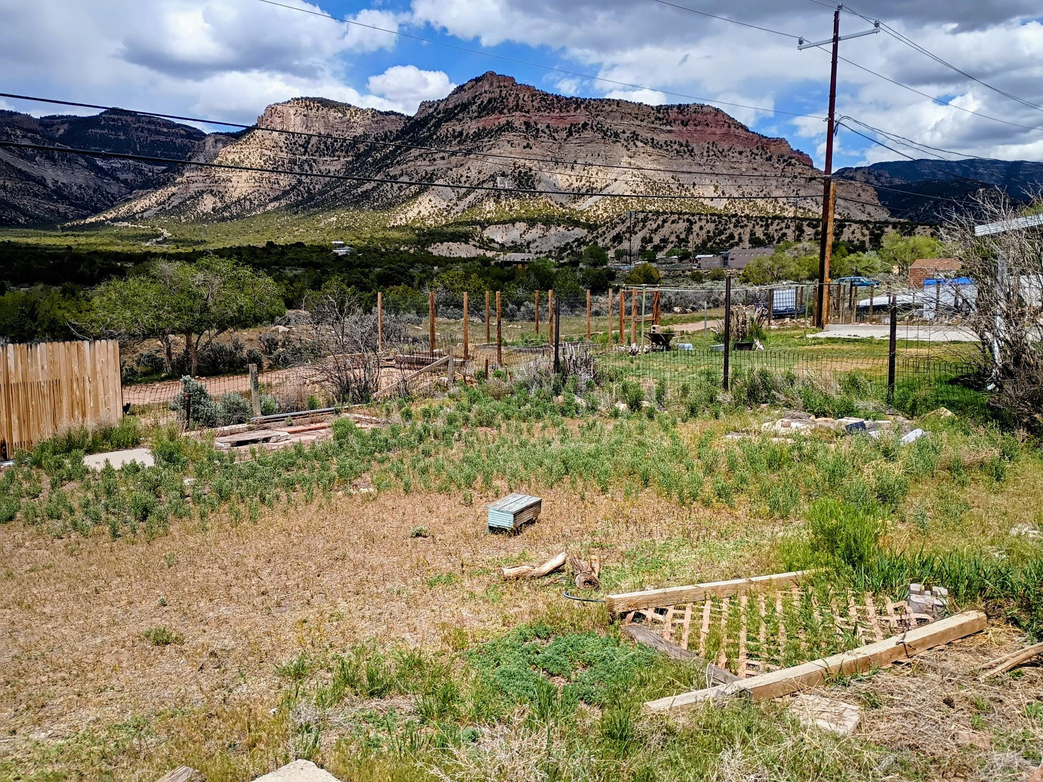 main property photo 54