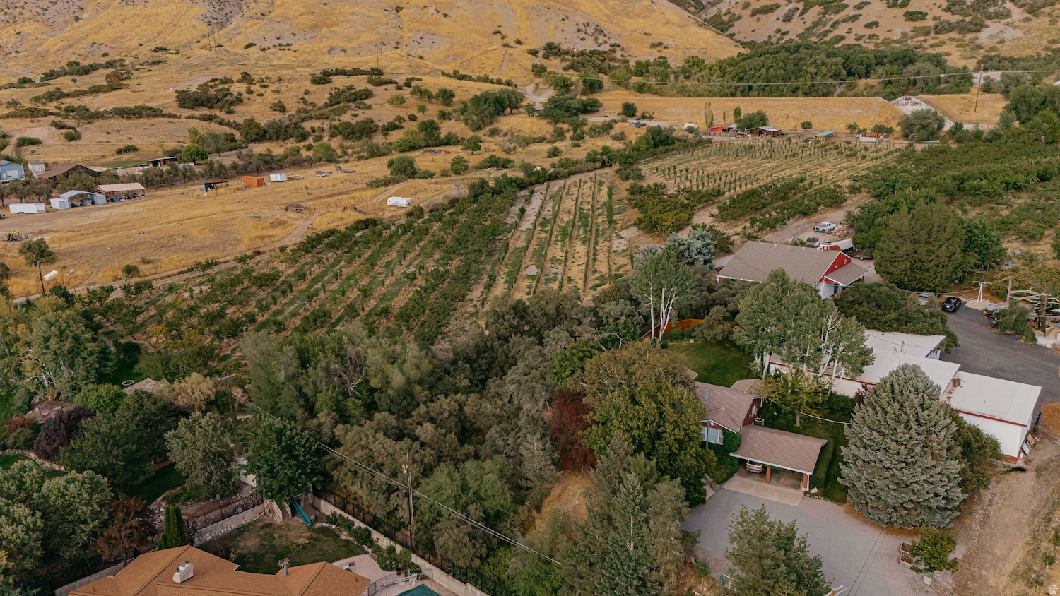 main property photo 27