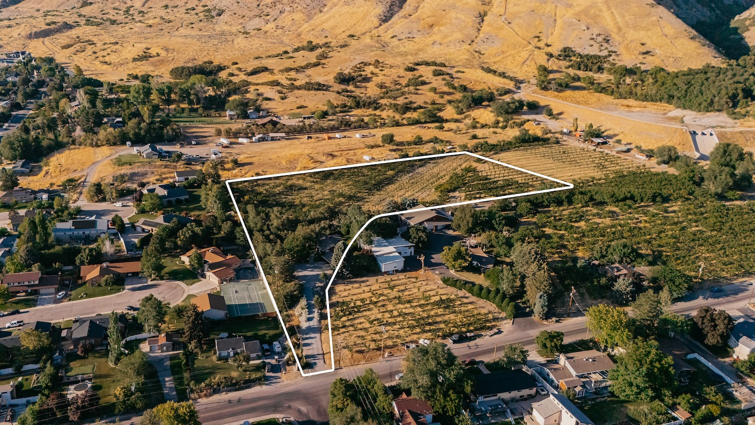 main property photo 3
