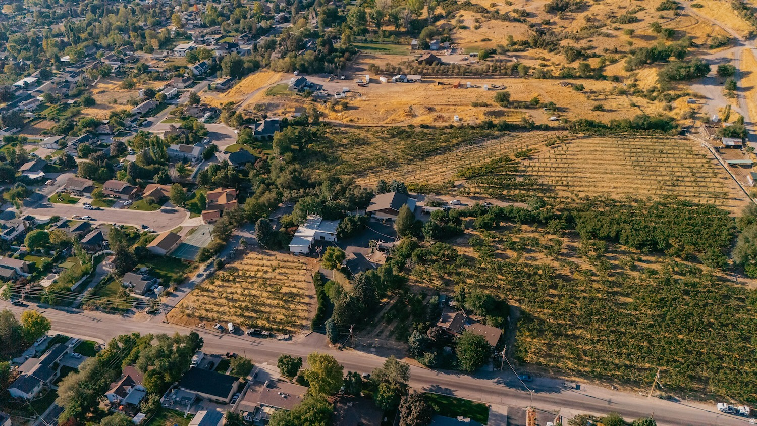 main property photo 6