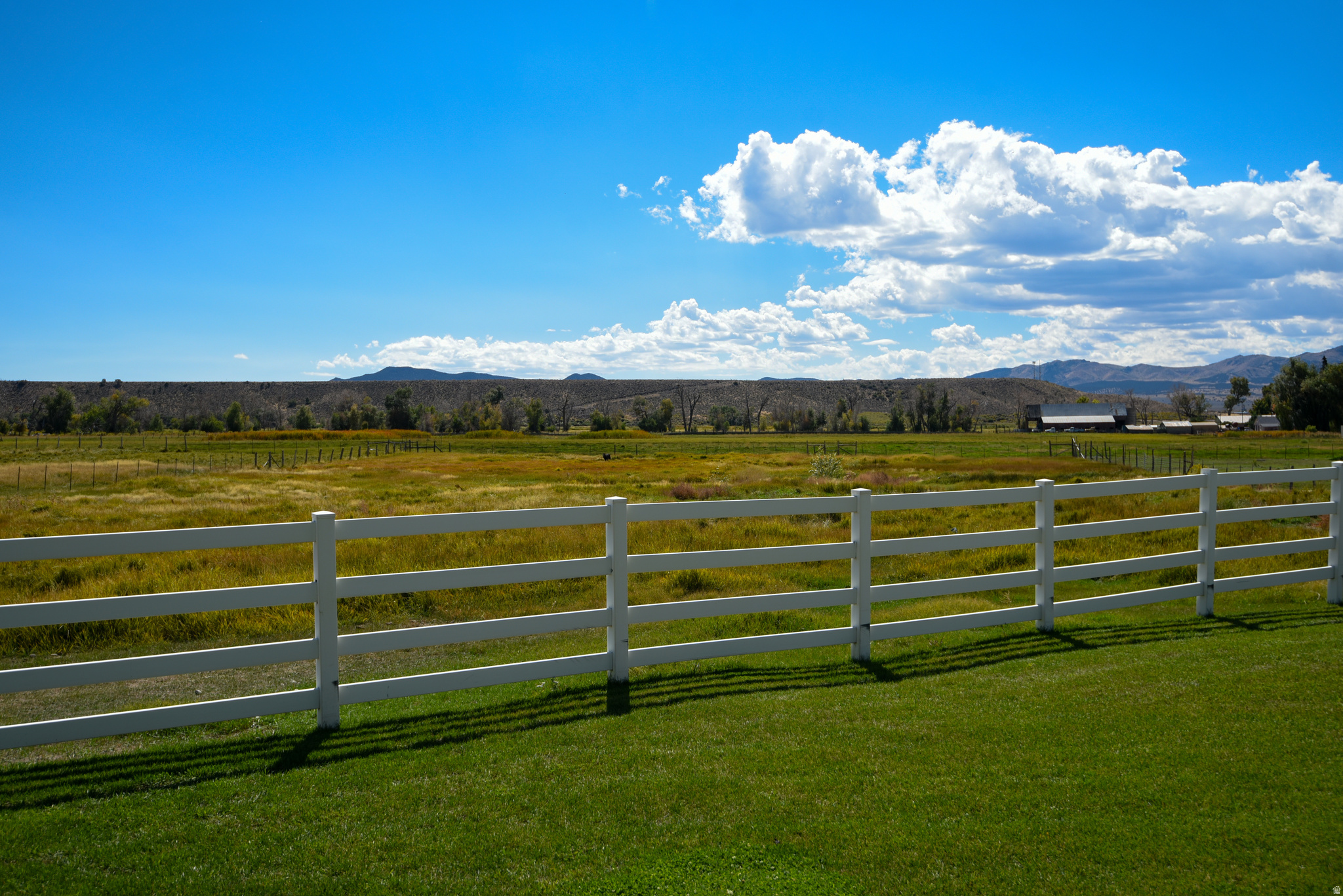 main property photo 99