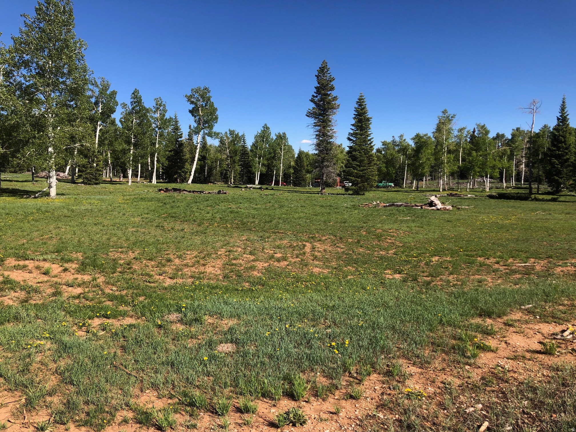 main property photo 14