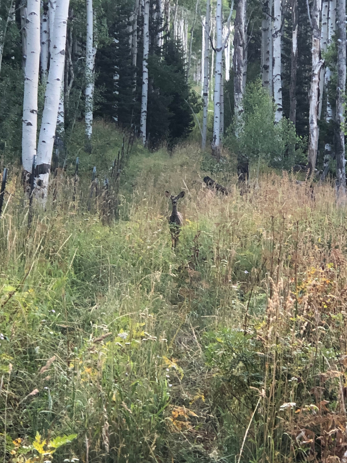main property photo 16