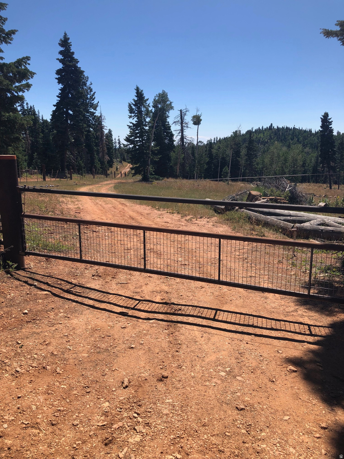 main property photo 8